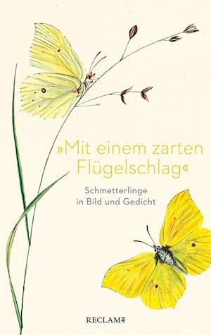 Cover for Eberhard Scholing · Â»mit Einem Zarten FlÃ¼gelschlagÂ« (Book) (2022)