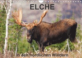 Cover for Philippe Henry · ELCHE In den nördlichen Wäldern (Wandkalender 2022 DIN A4 quer) (Calendar) (2021)