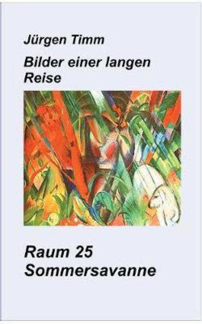 Cover for Timm · Raum 25 Sommersavanne (Book) (2017)