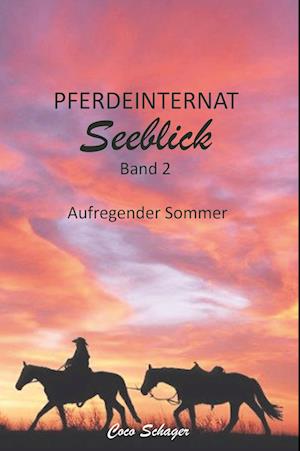 Cover for Coco Schager · Pferdeinternat Seeblick Band 2 (Book) (2023)