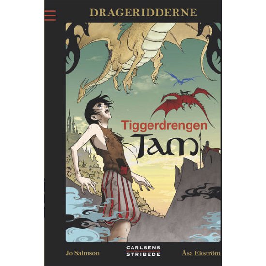 Cover for Jo Salmson · Drageridderne: Drageridderne 1: Tiggerdrengen Tam (min. 2 stk.) (Hardcover Book) [2nd edition] [Hardback] (2013)