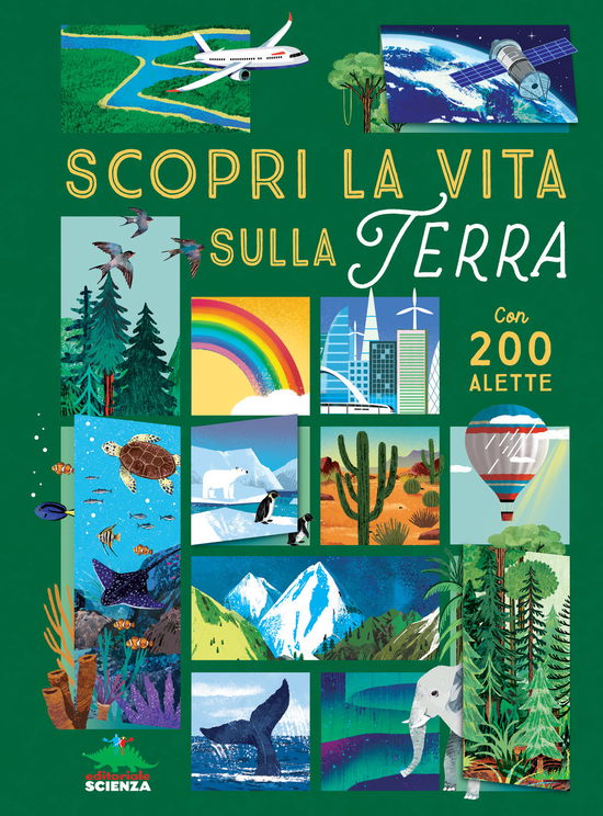 Cover for Ruth Martin · Scopri La Vita Sulla Terra. Alza E Scopri. Ediz. A Colori (Book)