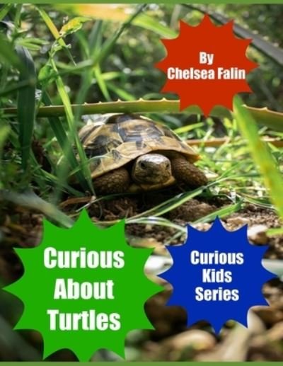 Curious About Turtles - Chelsea Falin - Livros - Independently Published - 9798582951070 - 17 de dezembro de 2020