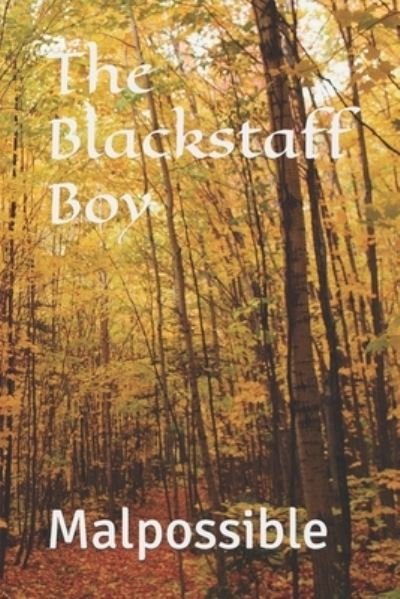 Cover for Independently Published · The Blackstaff Boy (Taschenbuch) (2021)
