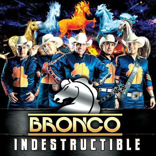 Cover for Bronco · Indestructible (CD) (2016)