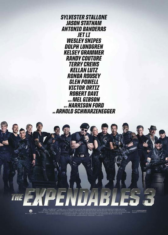 Cover for Sylvester Stallone · The Expendables 3 (DVD) (2014)