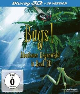 Cover for Bugs! Abenteuer Regenwald Real 3D (Blu-ray) (2011)