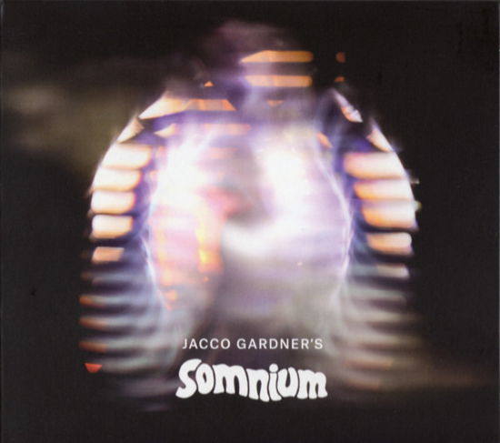 Cover for Jacco Gardner · Somnium (CD) (2018)