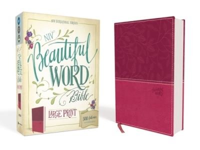 Cover for Zondervan · Beautiful Word Bible 500 Full-Color Illustrated Verses (Buch) (2017)