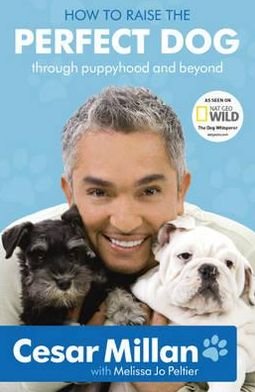 Cover for Cesar Millan · How to Raise the Perfect Dog (Paperback Book) (2010)