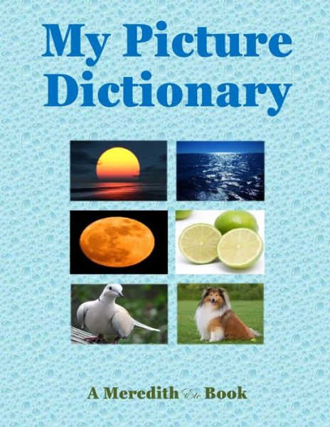 Cover for Meredith Coleman McGee · My Picture Dictionary (Paperback Book) (2019)