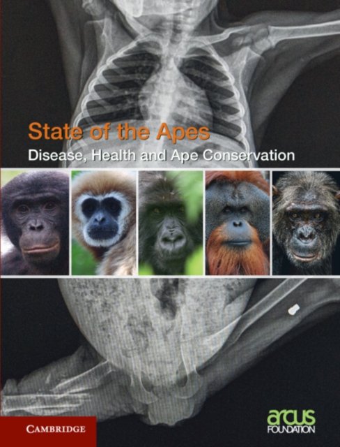 Disease, Health and Ape Conservation: Volume 5 - State of the Apes -  - Bøger - Cambridge University Press - 9781316513071 - 30. maj 2024