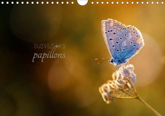 Cover for Gans · Suivez les papillons (Calendrier m (Book)