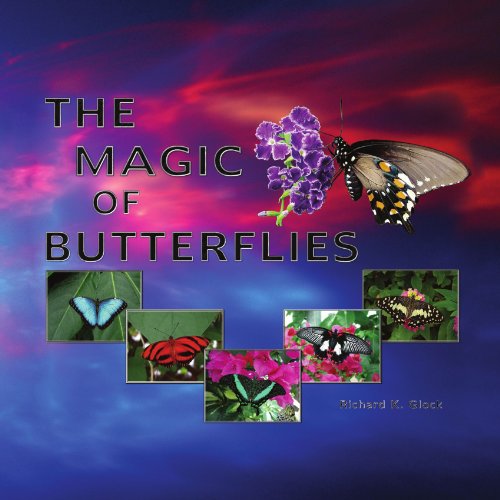 Cover for Richard K. Glock · The Magic of Butterflies (Paperback Bog) (2009)