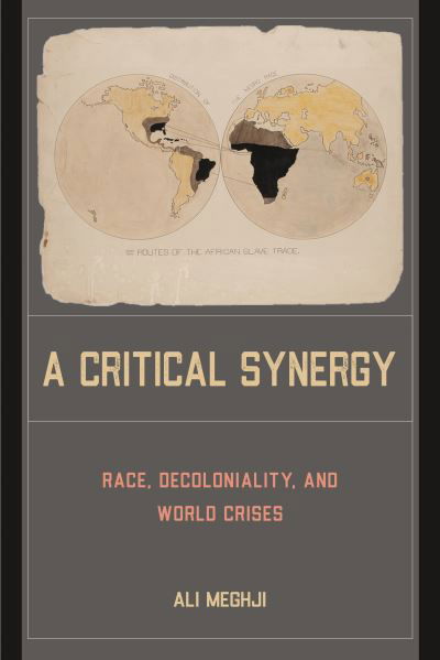 Cover for Ali Meghji · A Critical Synergy: Race, Decoloniality, and World Crises (Taschenbuch) (2023)