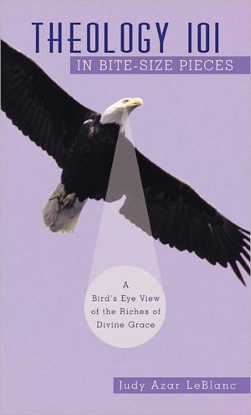 Cover for Judy Azar Leblanc · Theology 101 in Bite-size Pieces: a Bird's Eye View of the Riches of Divine Grace (Gebundenes Buch) (2010)