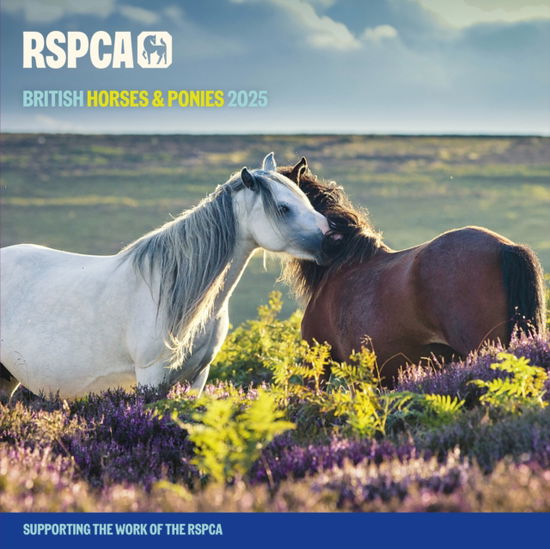 RSPCA British Horses & Ponies Square Wall Calendar 2025 - Carousel Calendars - Boeken - Carousel Calendars - 9781529843071 - 23 augustus 2024