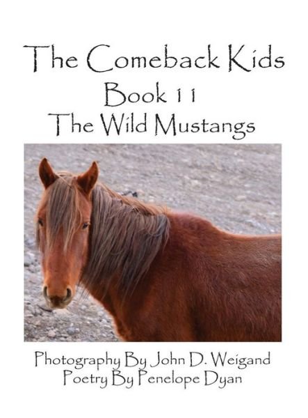Cover for Penelope Dyan · The Comeback Kids--book 11--the Wild Mustangs (Picture Book) (Gebundenes Buch) (2015)