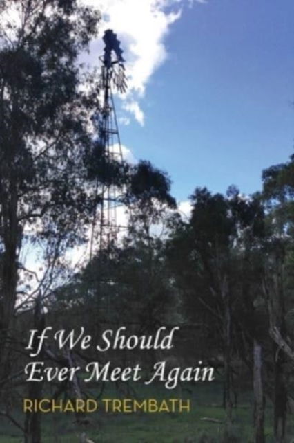 Cover for Busybird Publishing · If We Should Ever Meet Again (Paperback Book) (2021)