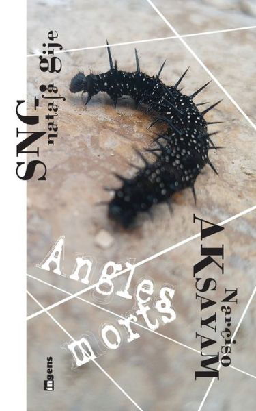 Cover for Narciso Aksayam · Angles morts (Paperback Book) (2021)