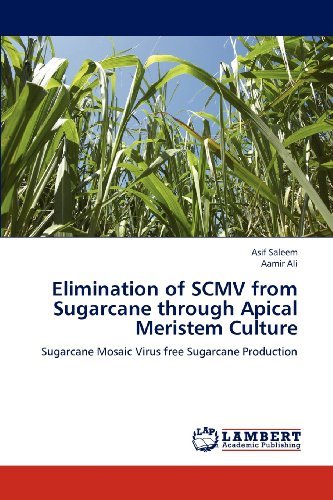 Cover for Aamir Ali · Elimination of Scmv from Sugarcane Through Apical Meristem Culture: Sugarcane Mosaic Virus Free Sugarcane  Production (Paperback Book) (2012)