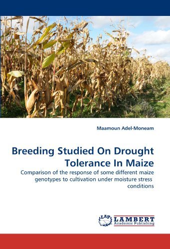 Cover for Maamoun Adel-moneam · Breeding Studied on Drought Tolerance in Maize: Comparison of the Response of Some Different Maize Genotypes to Cultivation Under Moisture Stress  Conditions (Paperback Bog) (2010)