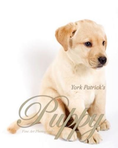 Cover for Div · Puppy - Fine Art Photography (Paperback Book) (2010)