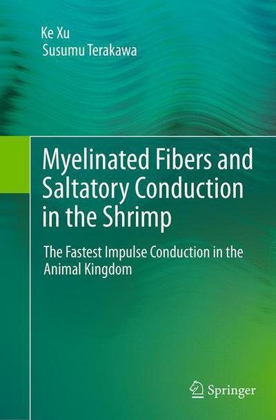 Cover for Ke Xu · Myelinated Fibers and Saltatory Conduction in the Shrimp: The Fastest Impulse Conduction in the Animal Kingdom (Taschenbuch) [Softcover reprint of the original 1st ed. 2013 edition] (2016)