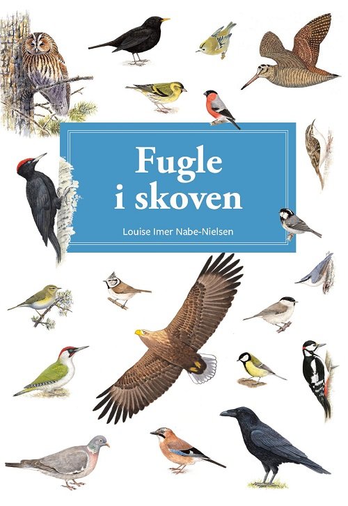 Spiralbogsserien: Fugle i skoven - display med 10 stk (Spiralbuch) [1. Ausgabe] (2024)