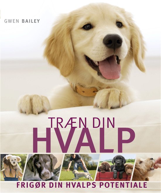 Cover for Gwen Bailey · Træn din hvalp (Taschenbuch) [1. Ausgabe] [Paperback] (2013)