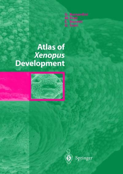 Atlas of Xenopus Development - G. Bernardini - Books - Springer Verlag - 9788847029071 - November 20, 2013