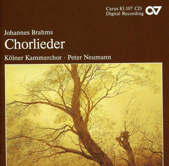 Cover for Brahms / Palm / Cologne Chamber Choir / Neumann · Songs for Choir (CD) (2002)