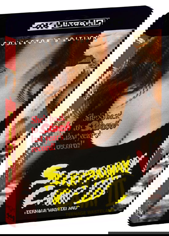 Cover for Sleepaway Camp Iii: Teenage Wasteland (4K Ultra HD) (2025)