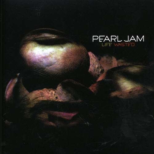 Cover for Pearl Jam · Life Wasted (7&quot;) [Limited edition] (2006)