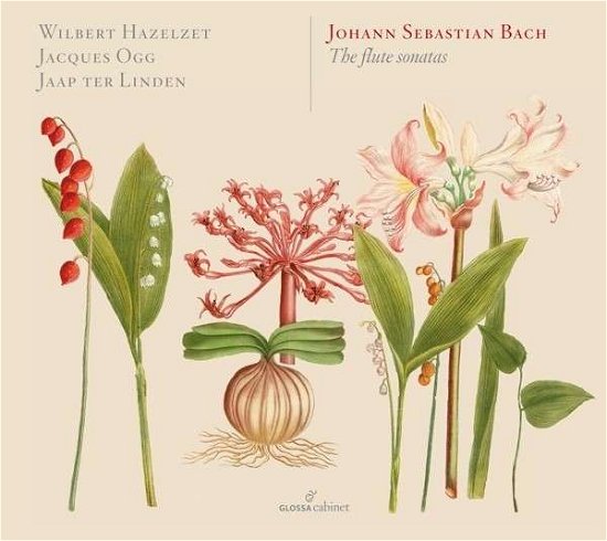 Flute Sonatas - Johann Sebastian Bach - Musik - GLOSSA - 8424562808072 - 24. Juli 2013