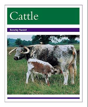 RPM Pur Cattle Is (PM Animal Facts: Farm Animals) - Beverley Randell - Books - Rigby - 9780763528072 - April 24, 1999