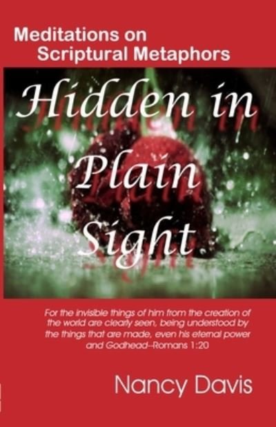 Cover for Nancy Davis · Hidden in Plain Sight (Paperback Book) (2022)