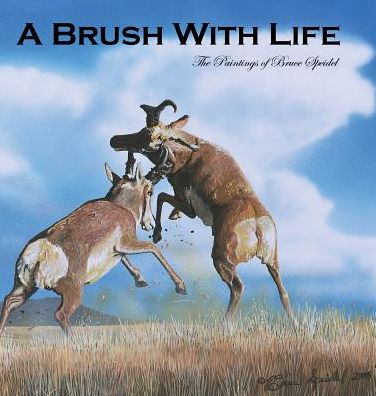 Cover for Bruce Speidel · A Brush with Life: the Paintings of Bruce Speidel (Inbunden Bok) (2015)