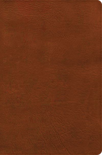 Cover for Holman Bible Publishers · NASB Giant Print Reference Bible, Burnt Sienna LeatherTouch, Indexed (Buch) (2022)