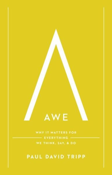 Cover for Paul David Tripp · Awe: Why It Matters for Everything We Think, Say, and Do (Hardcover Book) (2015)