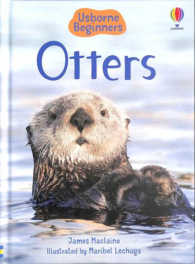 Otters - Beginners - James Maclaine - Livres - Usborne Publishing Ltd - 9781474968072 - 9 juillet 2020