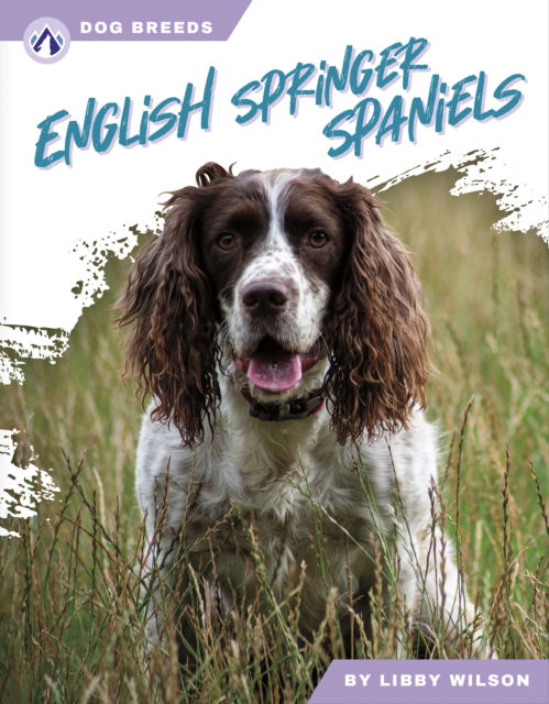 Cover for Libby Wilson · English Springer Spaniels - Dog Breeds (Hardcover Book) (2024)