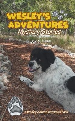 Wesley's Adventures - Dale M Walsh - Books - Covenant Books - 9781640035072 - May 14, 2018