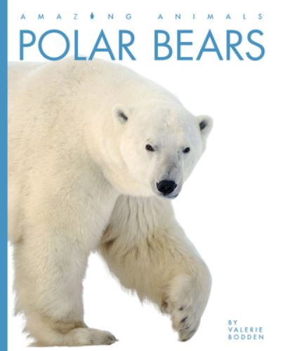 Cover for Valerie Bodden · Polar Bears (Hardcover Book) (2020)