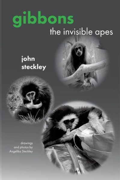 Cover for John Steckley · Gibbons: the Invisible Apes (Paperback Book) (2015)