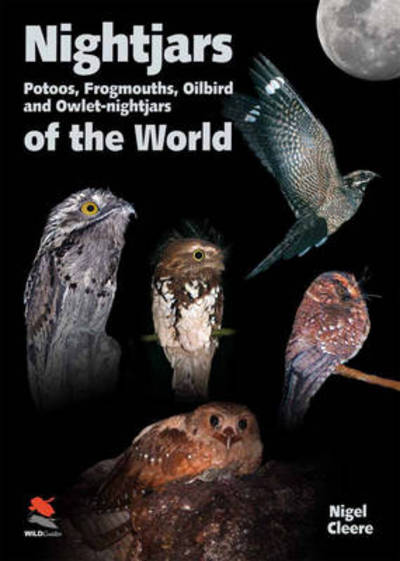 Nightjars, Potoos, Frogmouths, Oilbird, and Owlet–nightjars of the World - Nigel Cleere - Books - WILDGuides - 9781903657072 - June 1, 2010