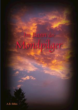 Cover for A B Soehn · Im Bann der Mondpilger (Paperback Bog) (2021)