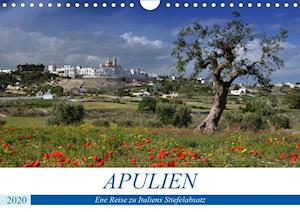 Cover for Manz · Apulien - Eine Reise zu Italiens S (Book)