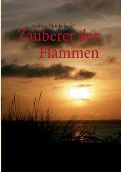Cover for Andrea Hundsdorfer · Zauberer Der Flammen (Paperback Book) [German edition] (2013)