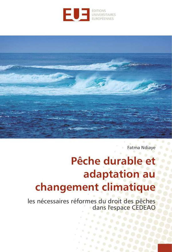 Cover for Ndiaye · Pêche durable et adaptation au c (Book)